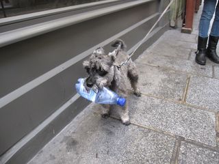 IMG_7456 IMG_7456