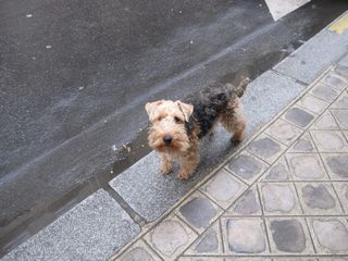 IMG_0843 IMG_0843